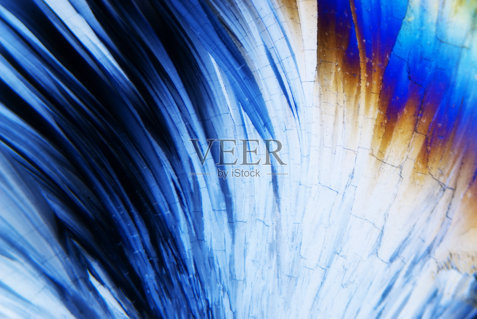 微晶核照片摄影图片