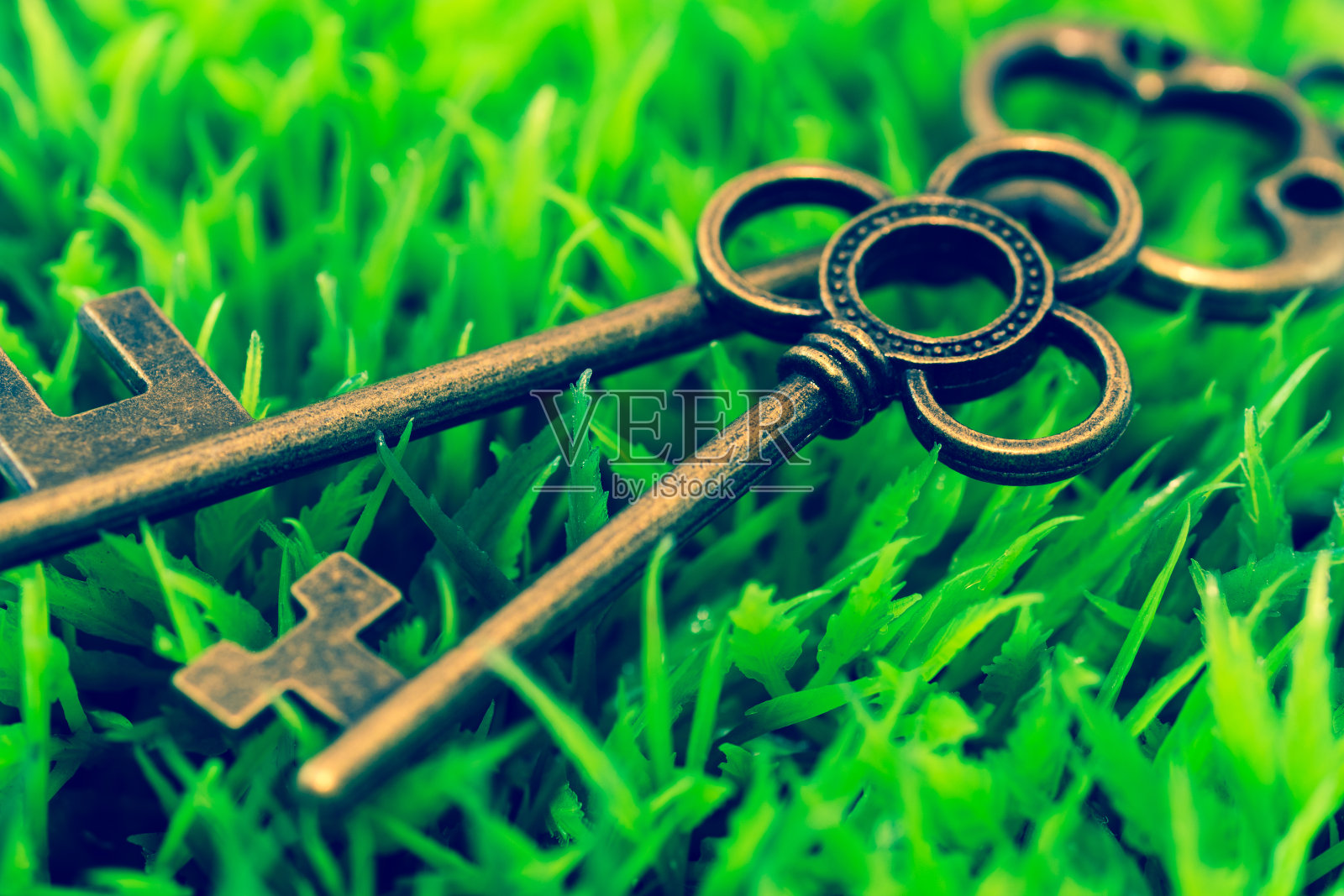 绿色草地上的钥匙照片摄影图片