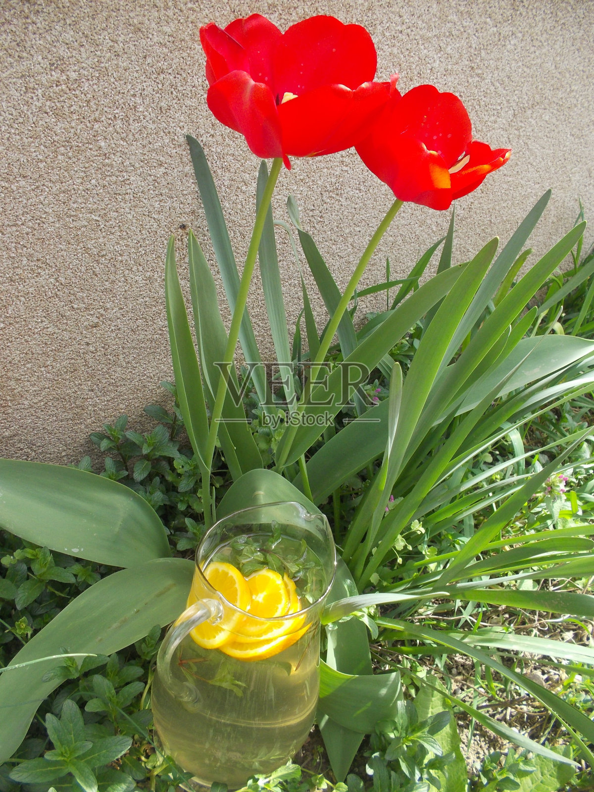 冰茶照片摄影图片