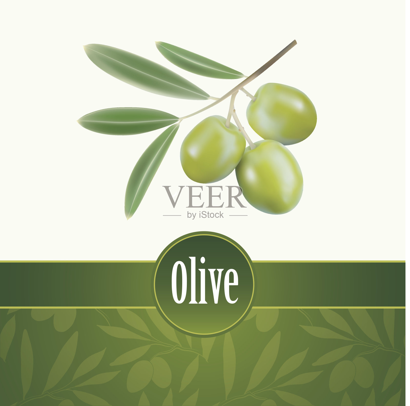 装饰性的橄榄枝。用于标签、包装的油。插画图片素材