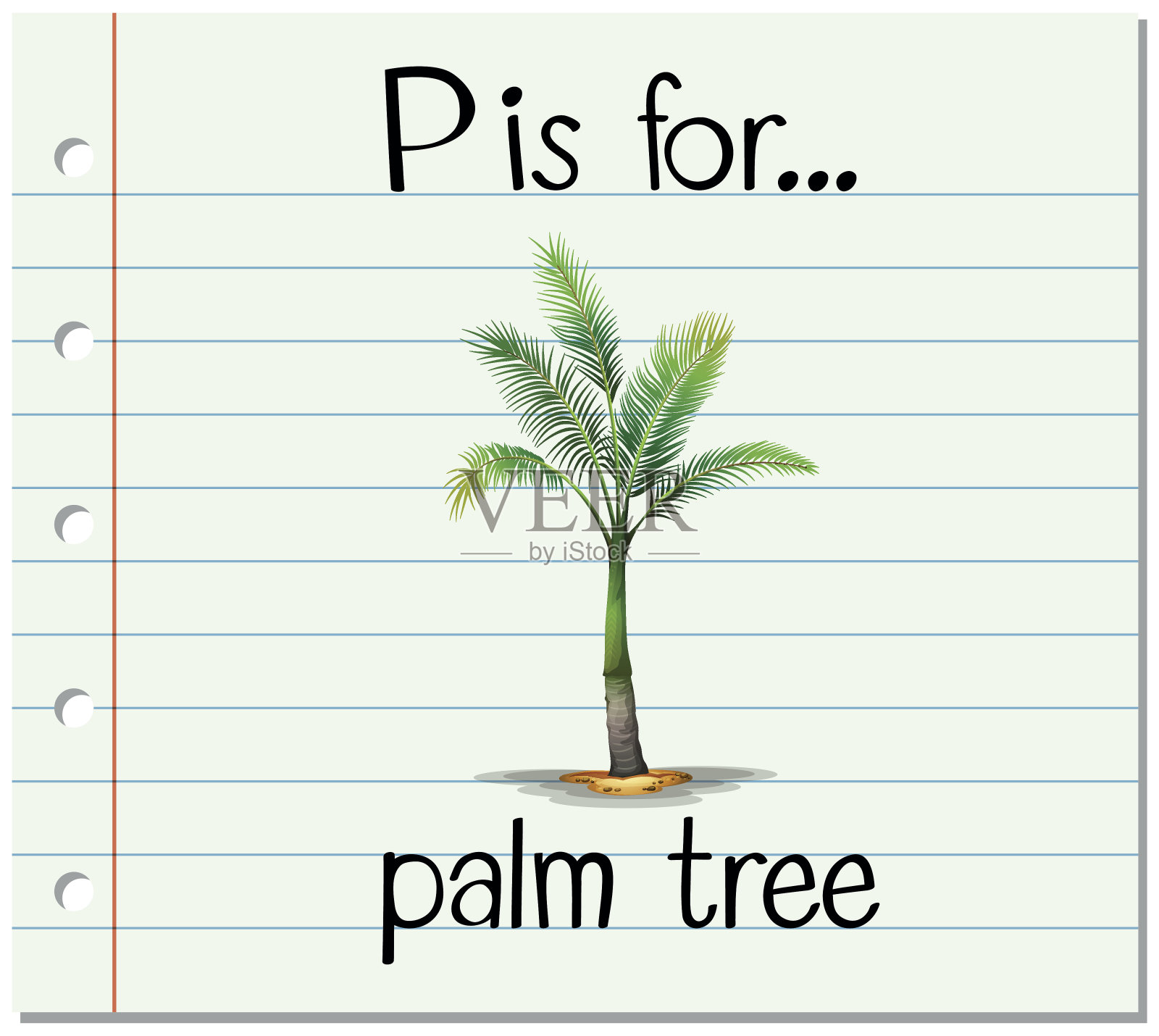 识字卡片上的字母P代表棕榈树设计元素图片