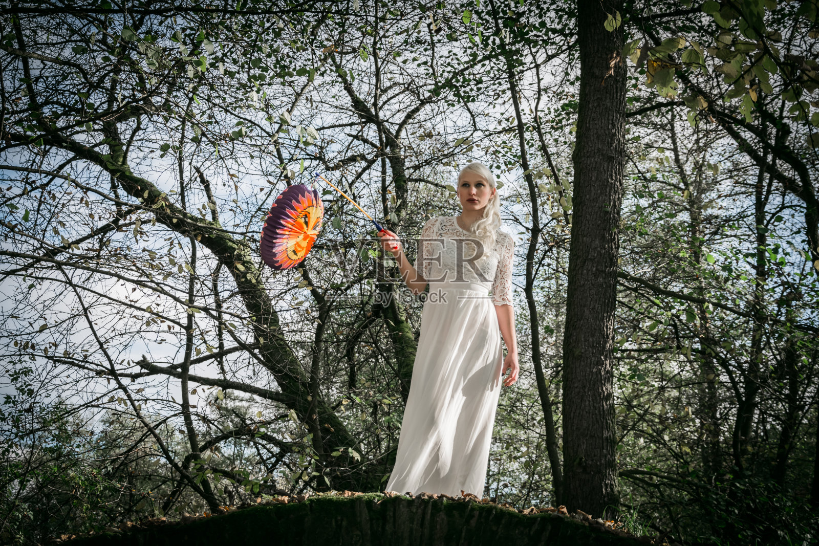 森林里穿着白衣服，提着灯笼的女人照片摄影图片