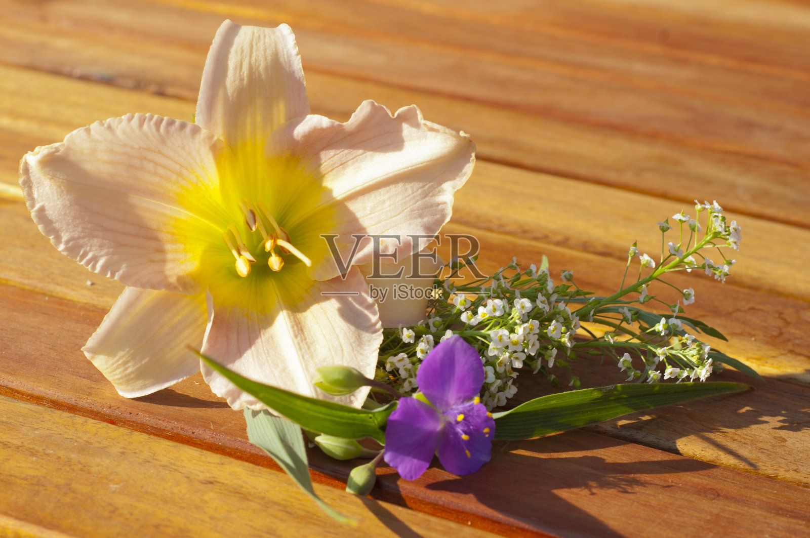 木桌上放着美丽的夏日花朵照片摄影图片