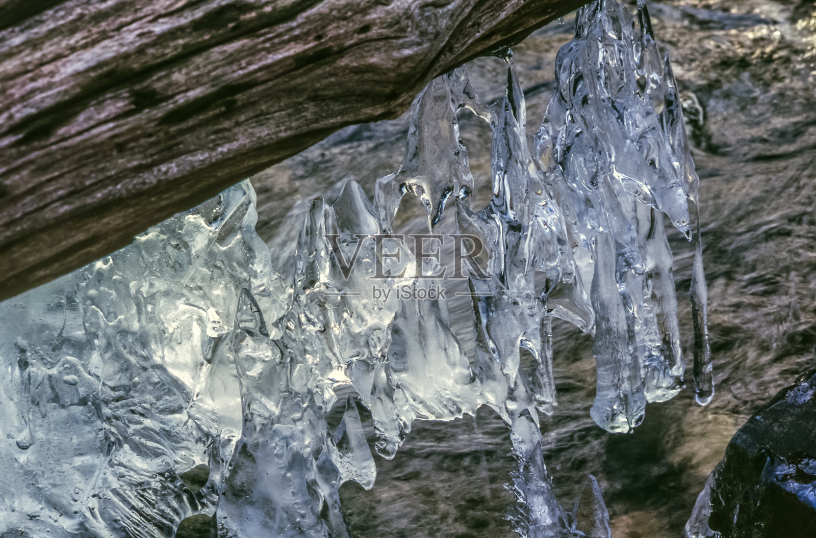 冬季森林场景照片摄影图片