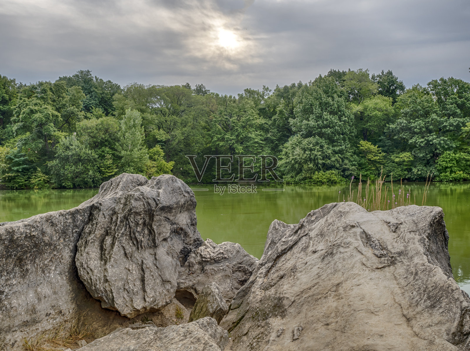 在湖边照片摄影图片