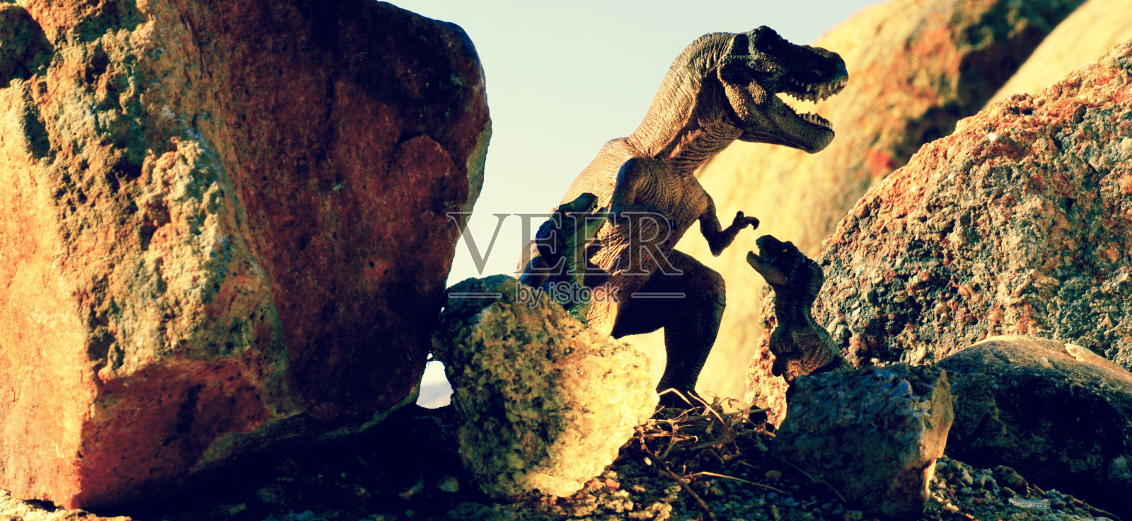 岩石中的霸王龙家族照片摄影图片