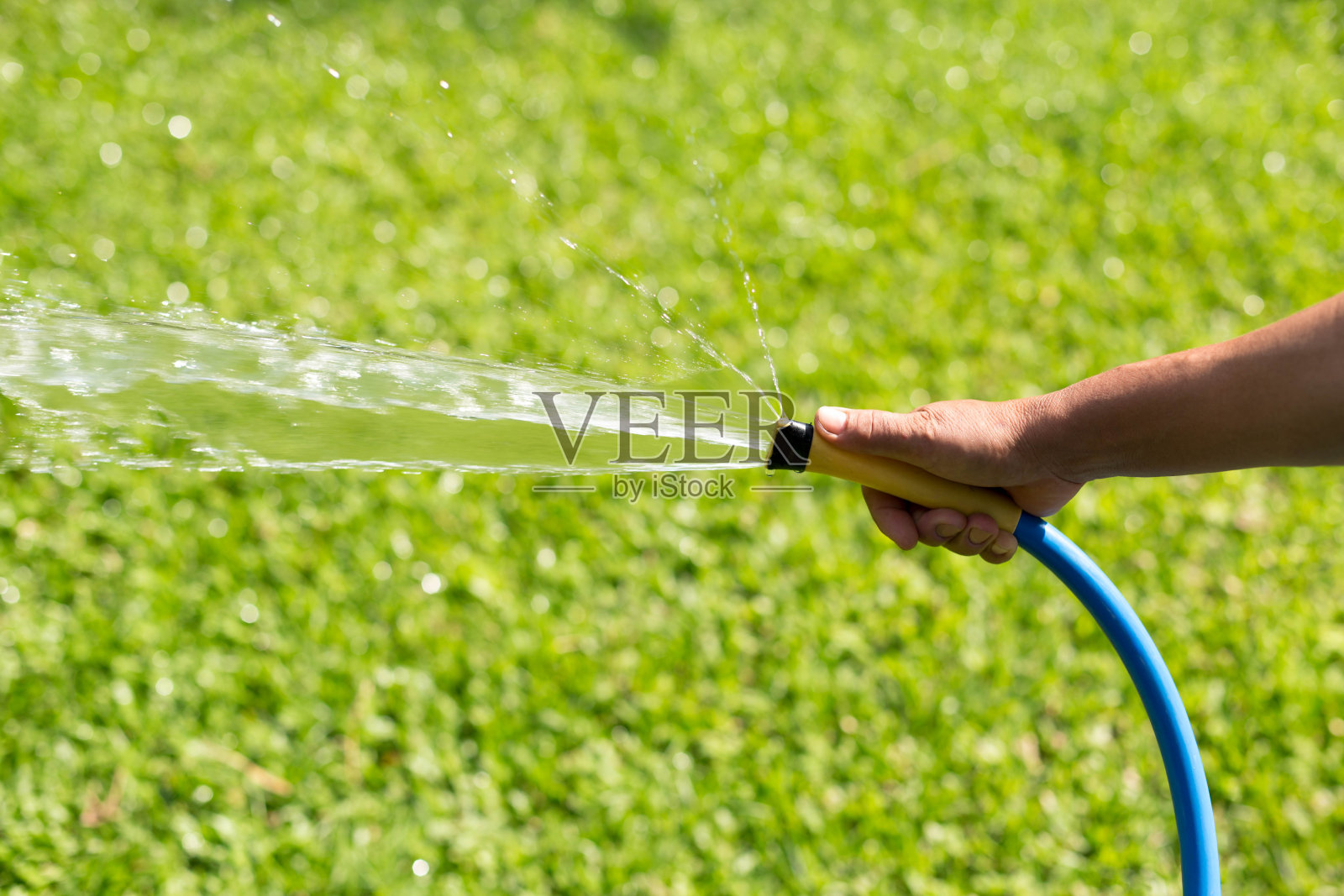 园丁用软管浇灌花园照片摄影图片