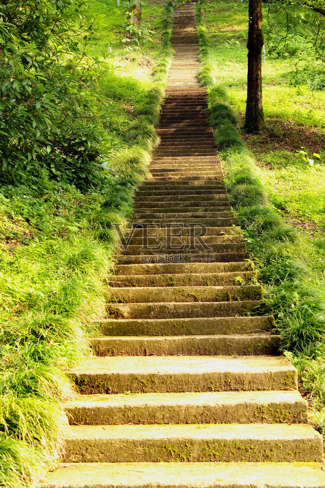 古老的石阶上长满青苔，绿草如茵照片摄影图片
