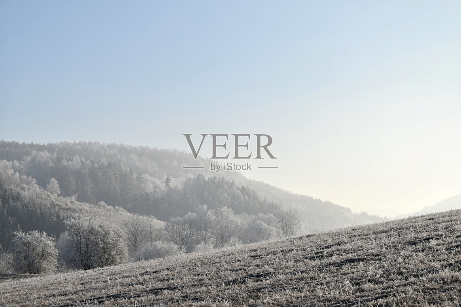 冻伤的风景，蔚蓝的天空。照片摄影图片