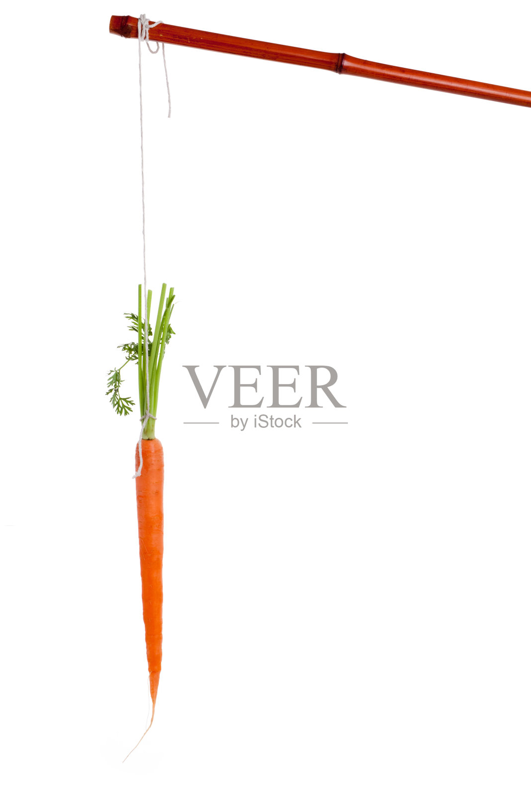 晃来晃去的胡萝卜照片摄影图片