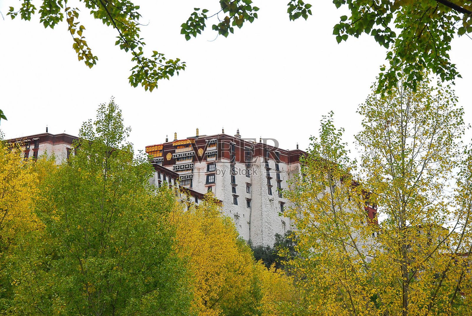 秋天的西藏风光照片摄影图片