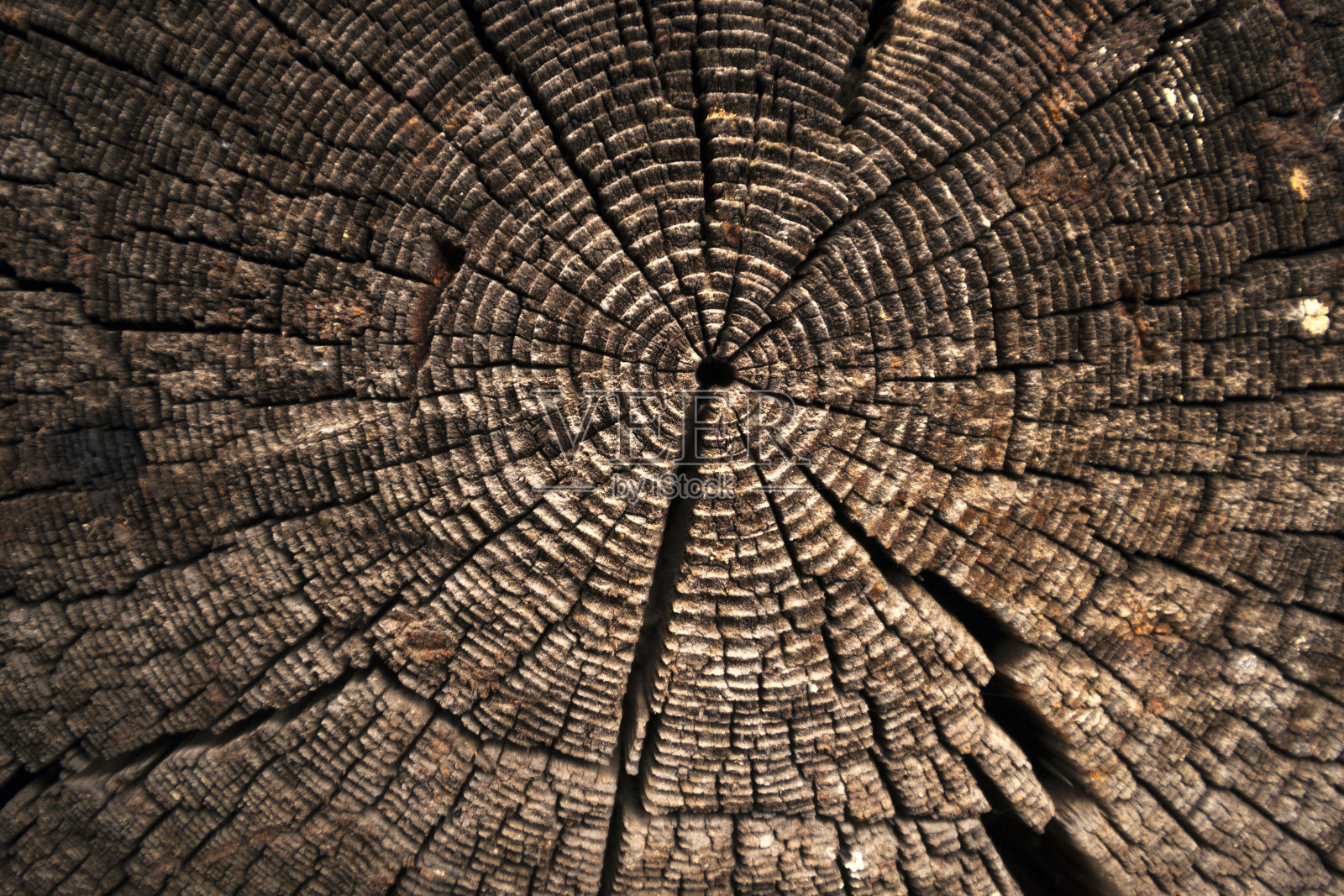 深色木材的纹理。自然背景。照片摄影图片