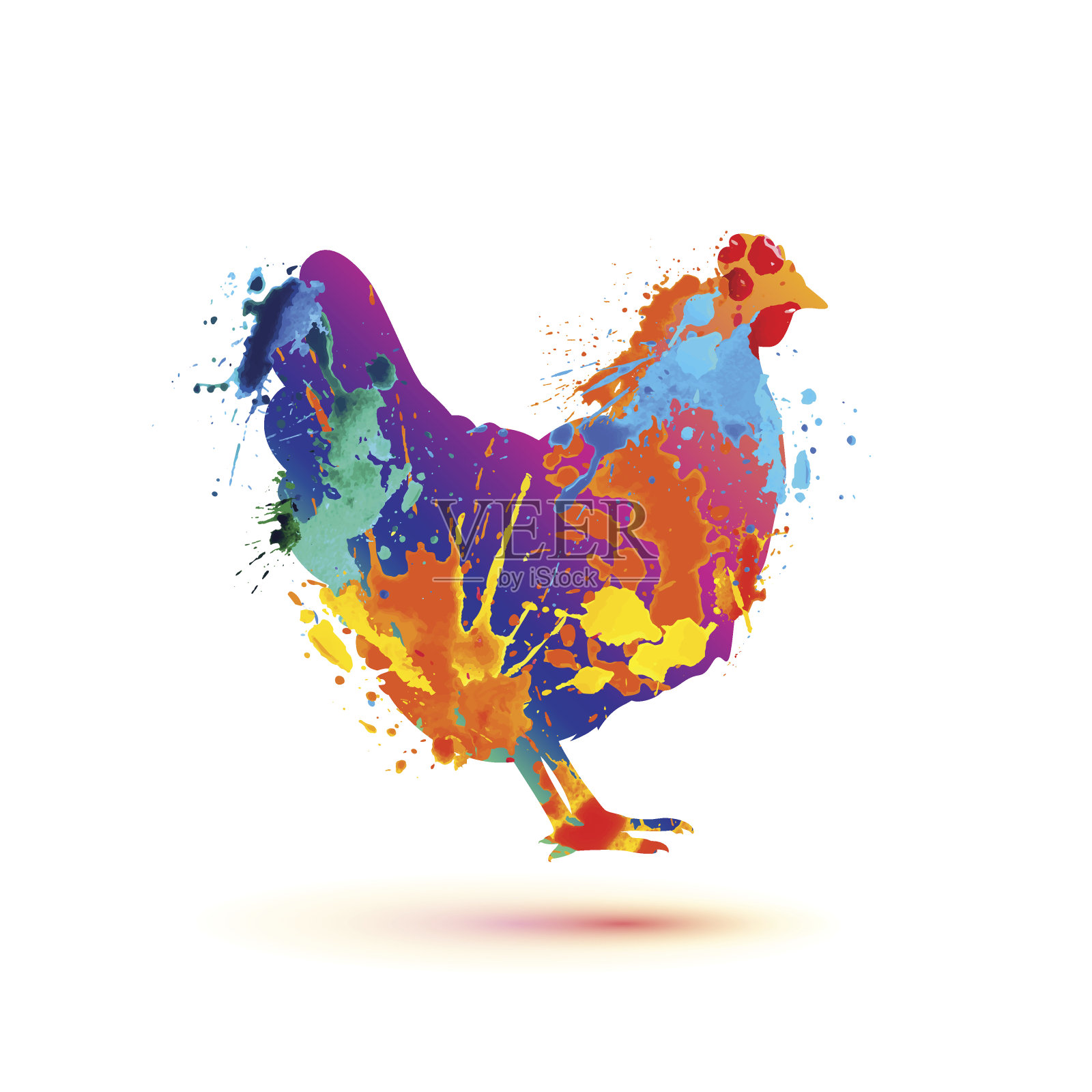 母鸡的剪影飞溅油漆插画图片素材