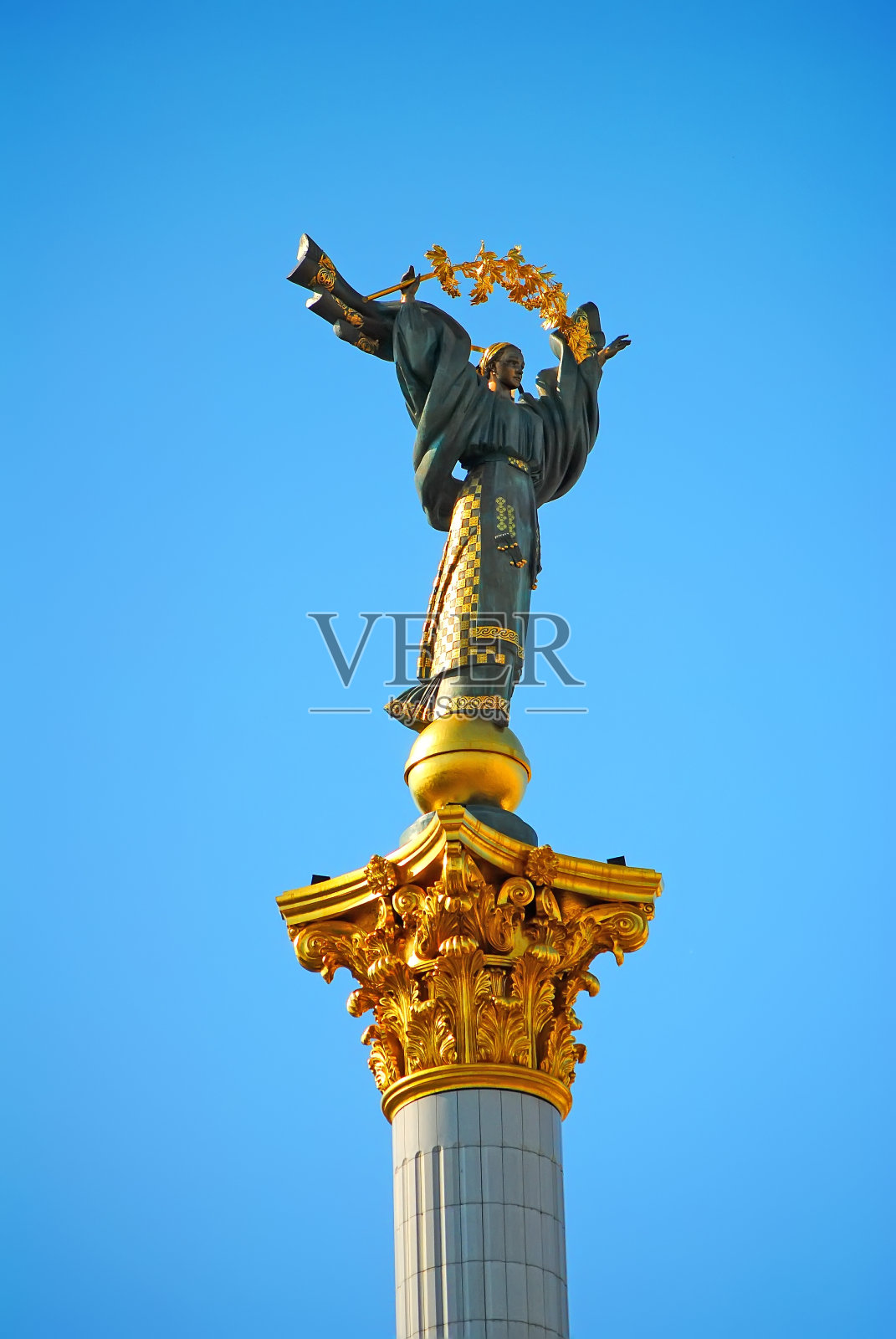 斯特拉在基辅独立广场上的树枝照片摄影图片