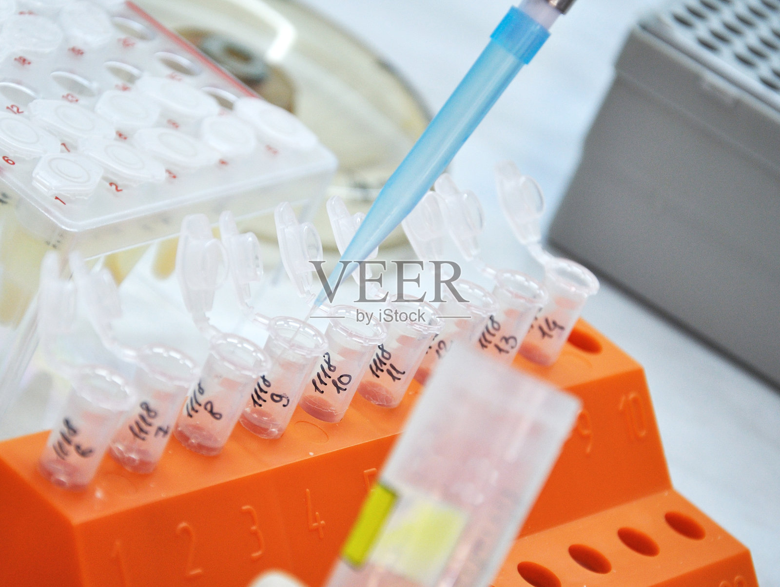 诊断测试照片摄影图片