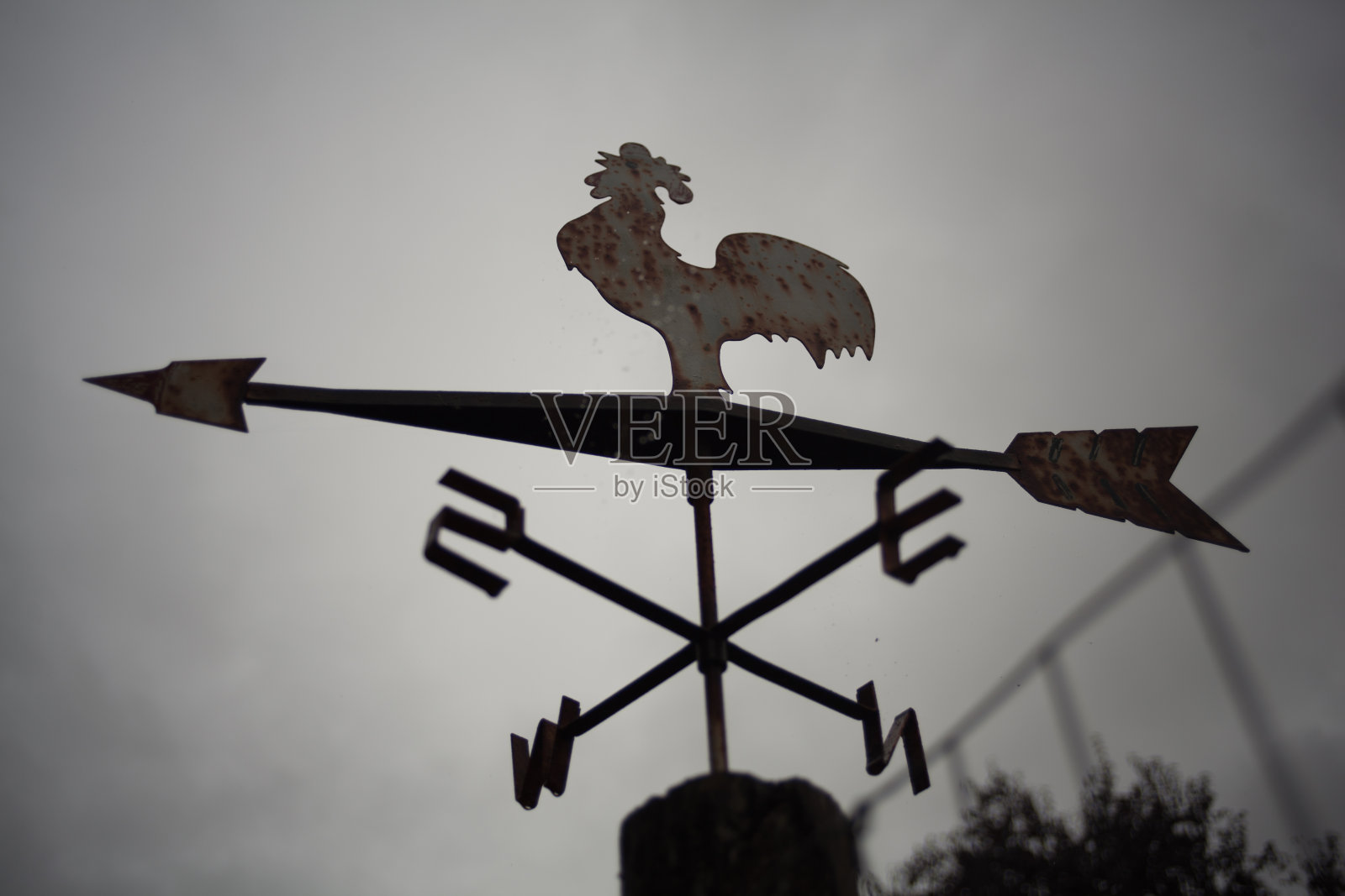 公鸡指南针照片摄影图片