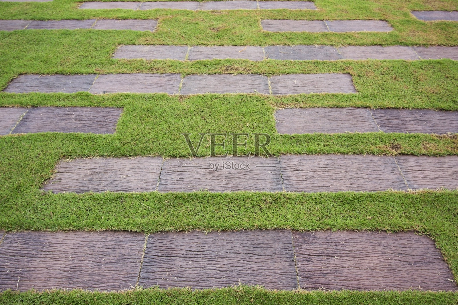 绿色草地上的木板。照片摄影图片