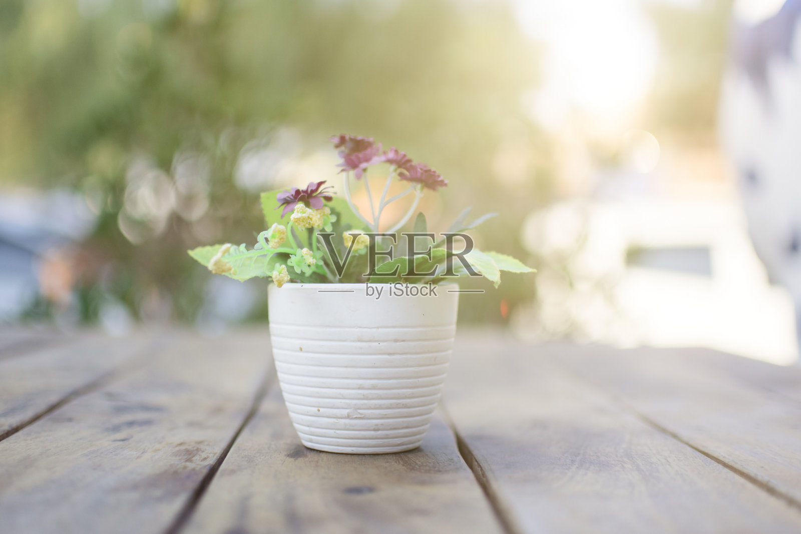 咖啡店前木桌上的盆栽照片摄影图片