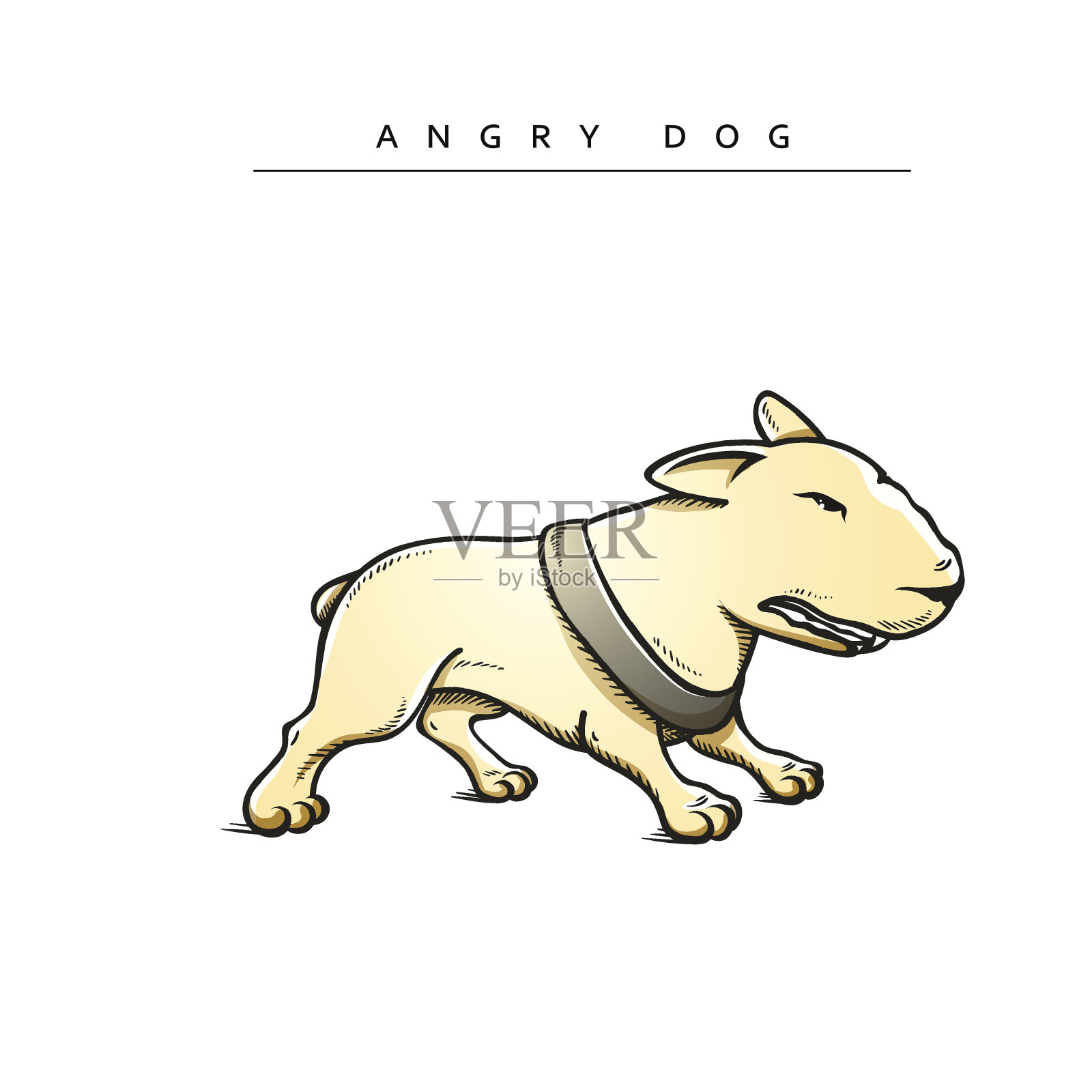 斗牛犬狗字符。有趣的动物卡通。设计元素图片