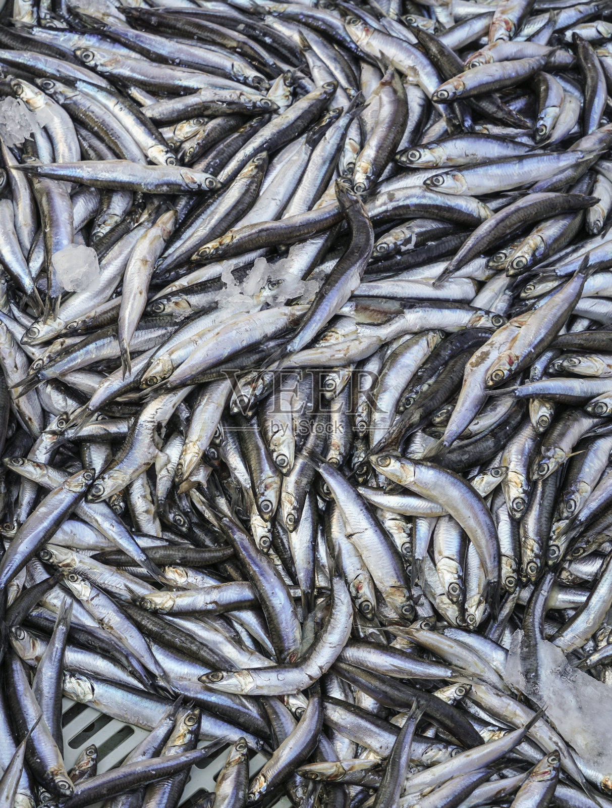 市场上的生凤尾鱼照片摄影图片