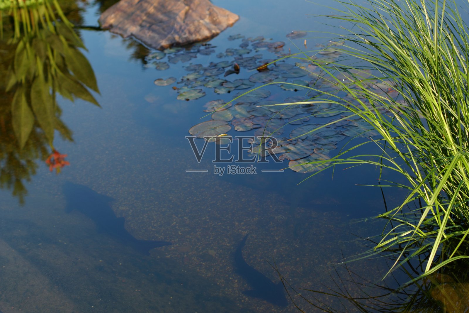 小溪中的石头与平滑的水流照片摄影图片