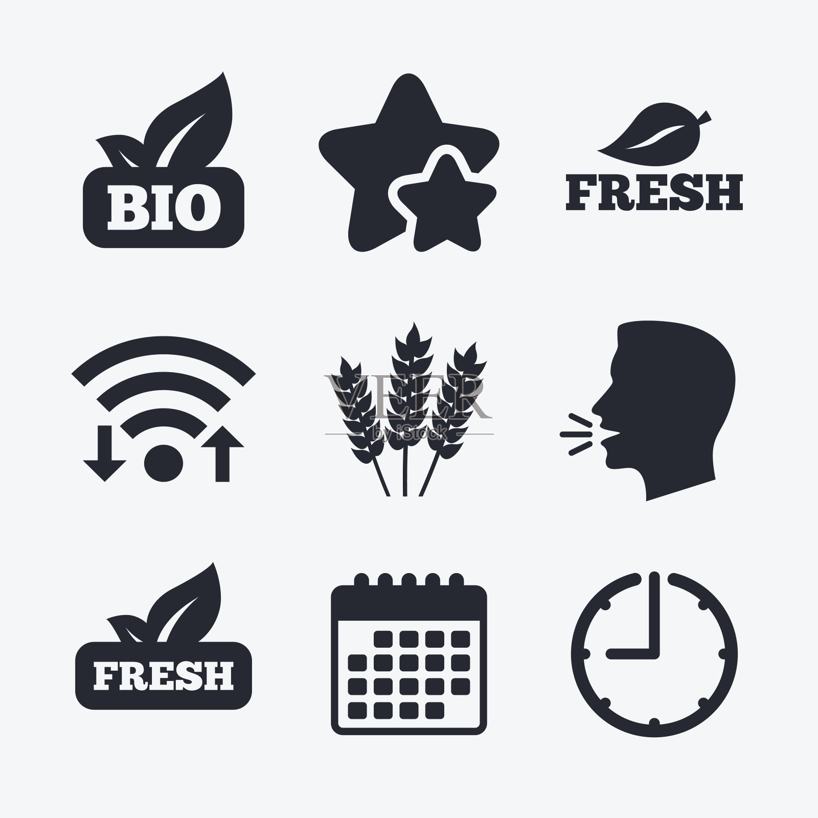 天然新鲜的生物食品图标。图标素材