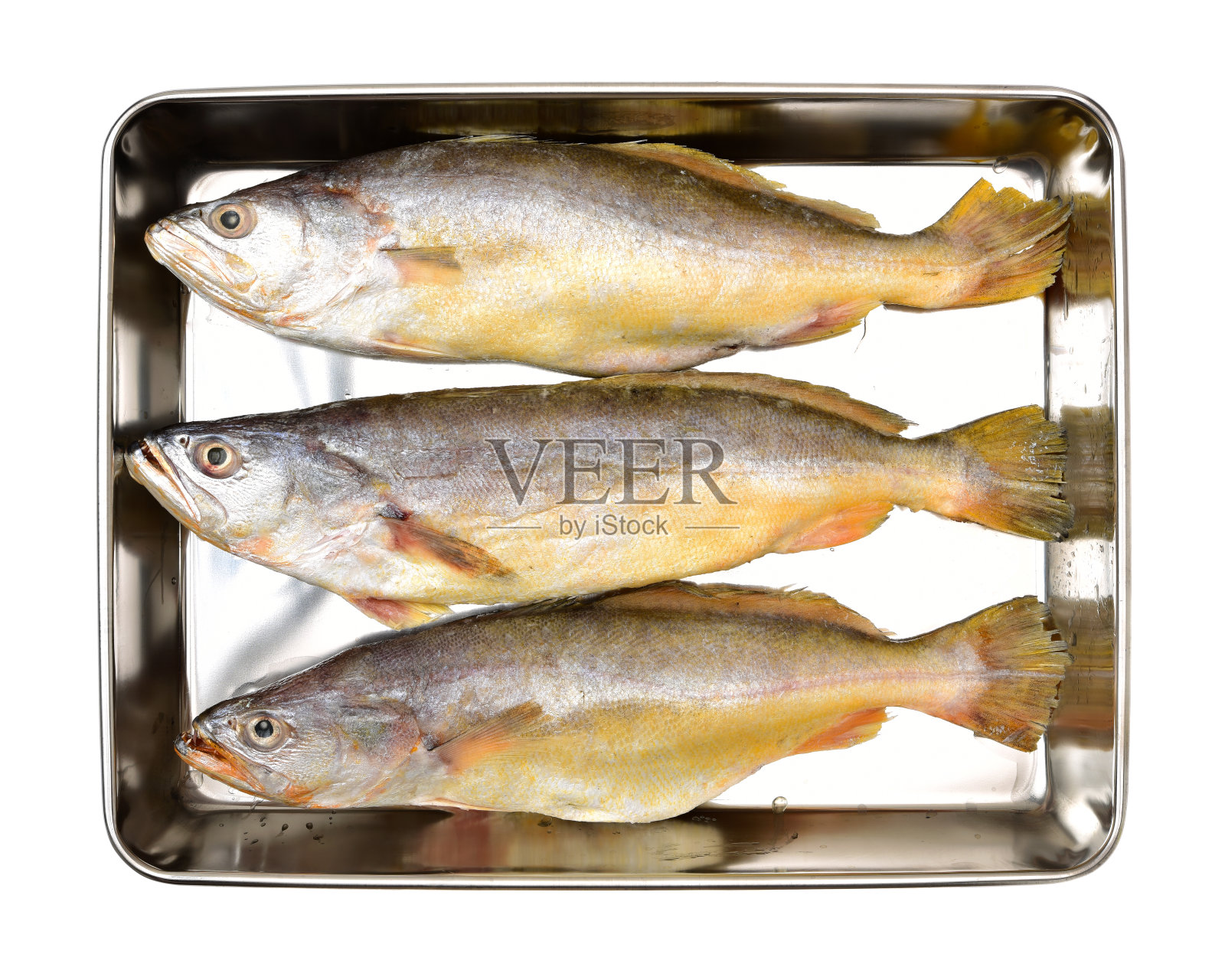 黄花鱼鱼照片摄影图片