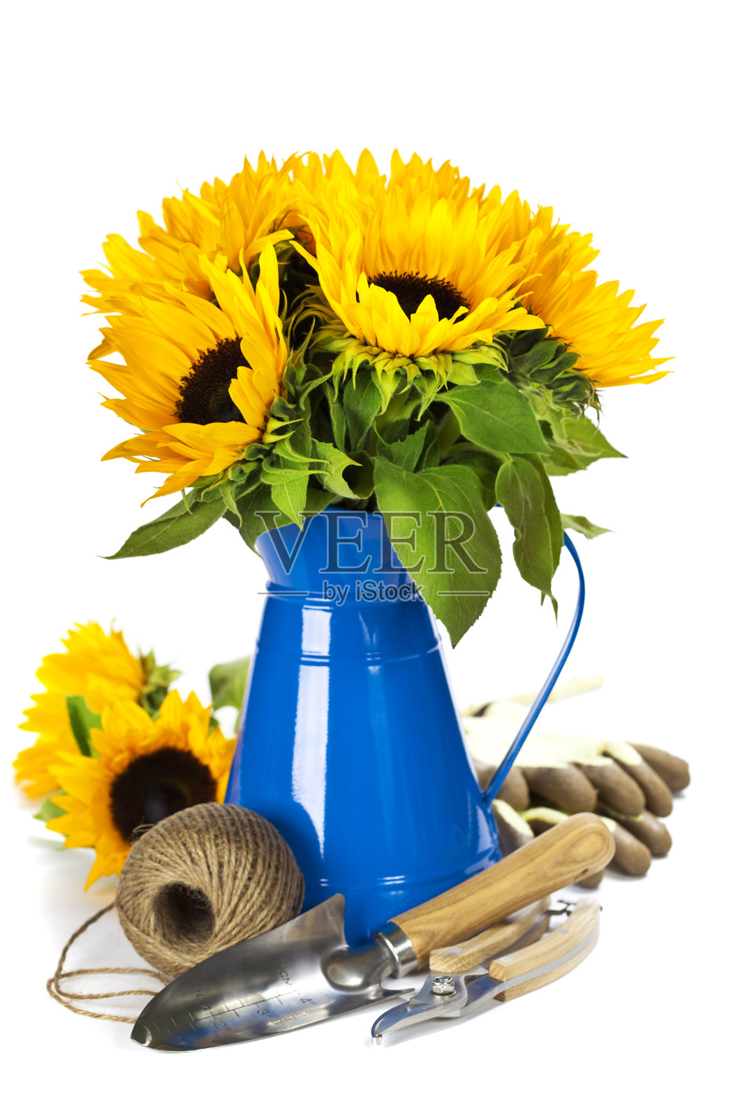 向日葵和园艺工具照片摄影图片