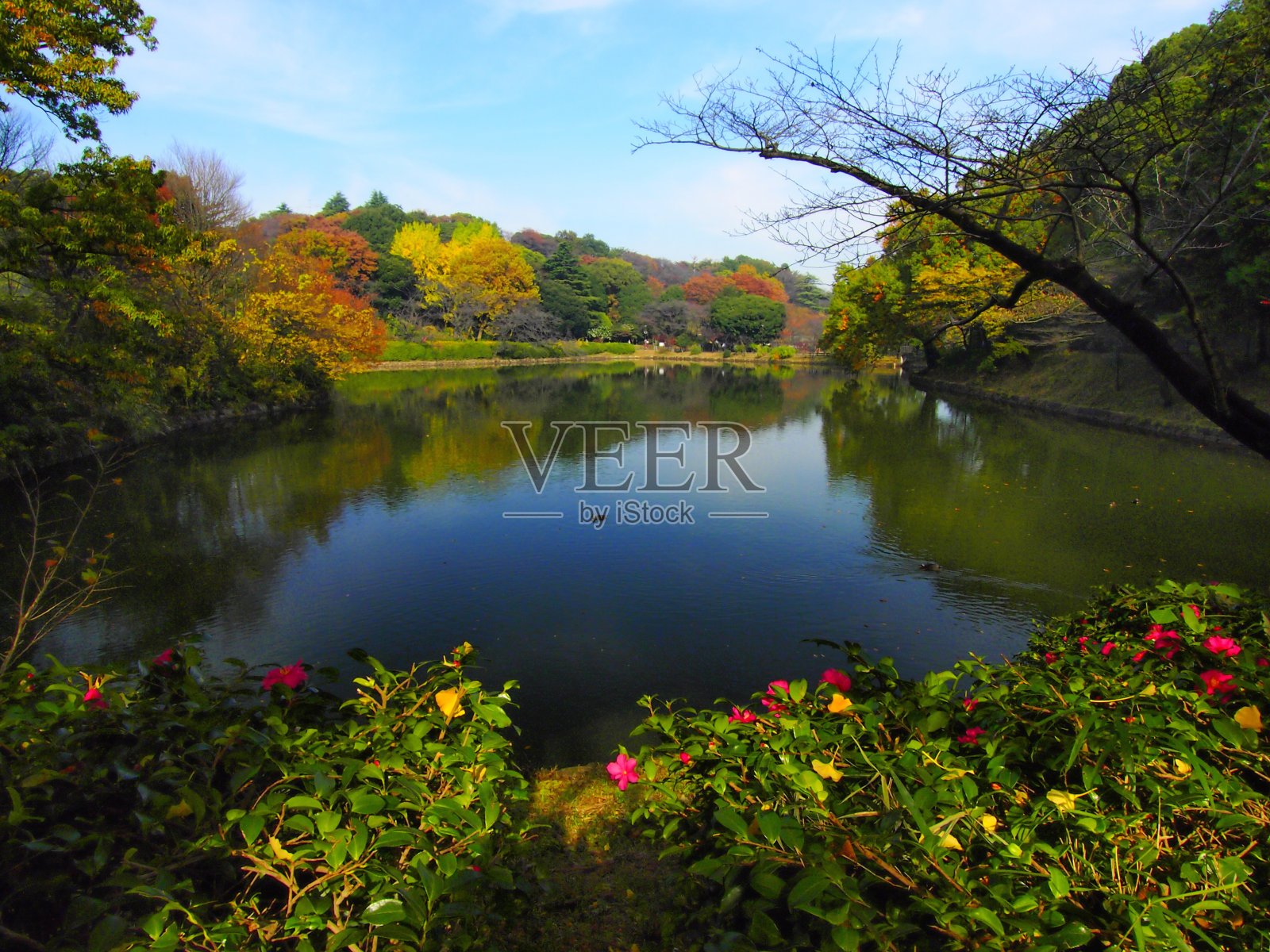 三井公园的秋天照片摄影图片