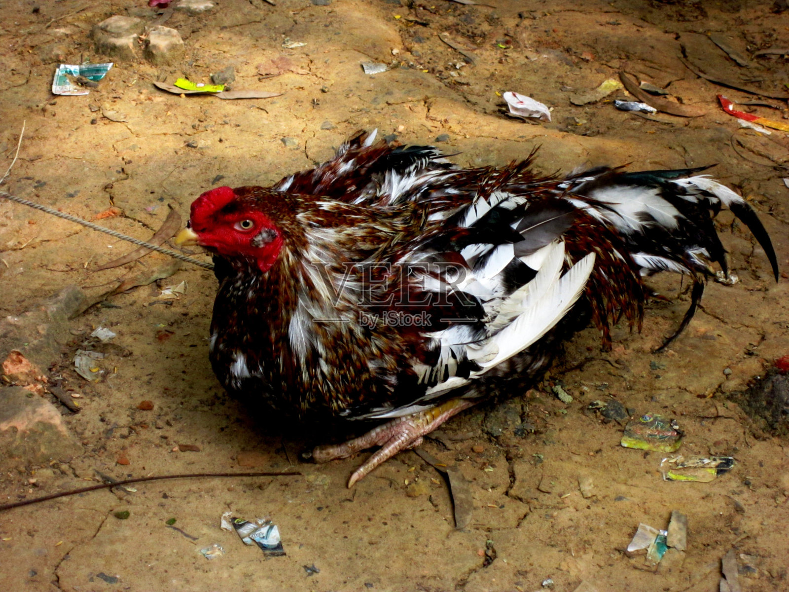 旋塞照片摄影图片