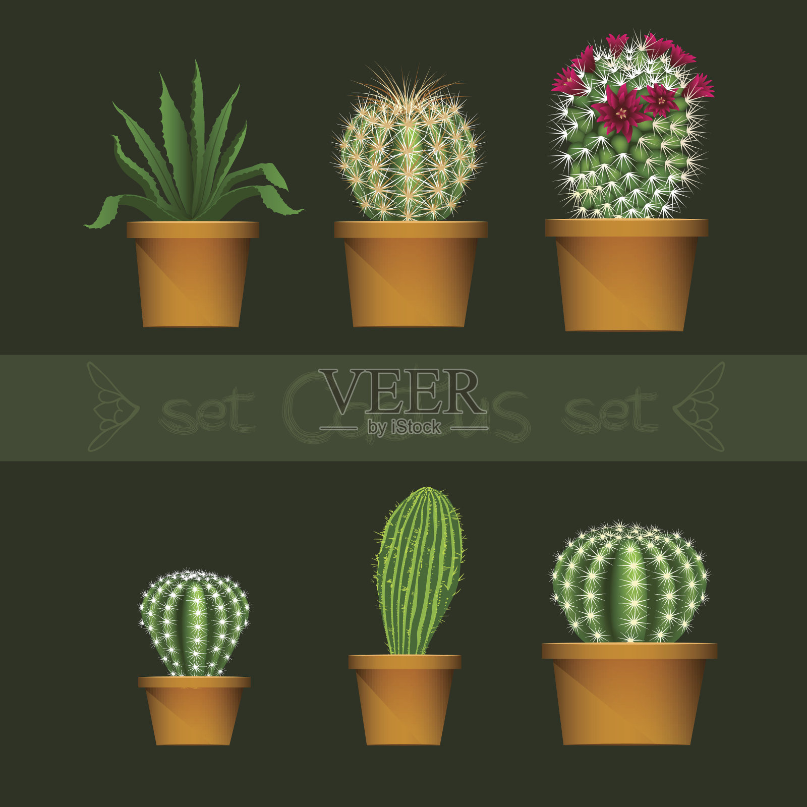 仙人掌类型在花盆现实孤立矢量图标集设计元素图片
