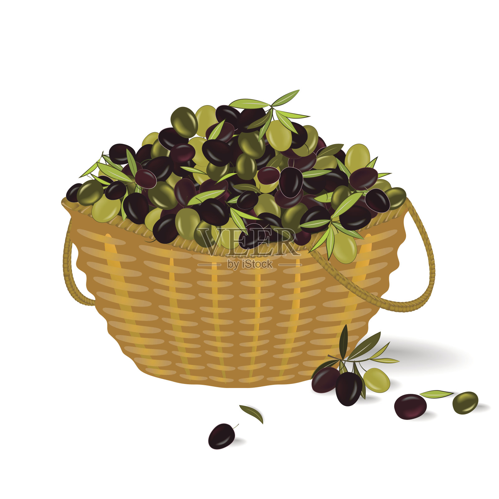 橄榄篮子里。矢量图插画图片素材