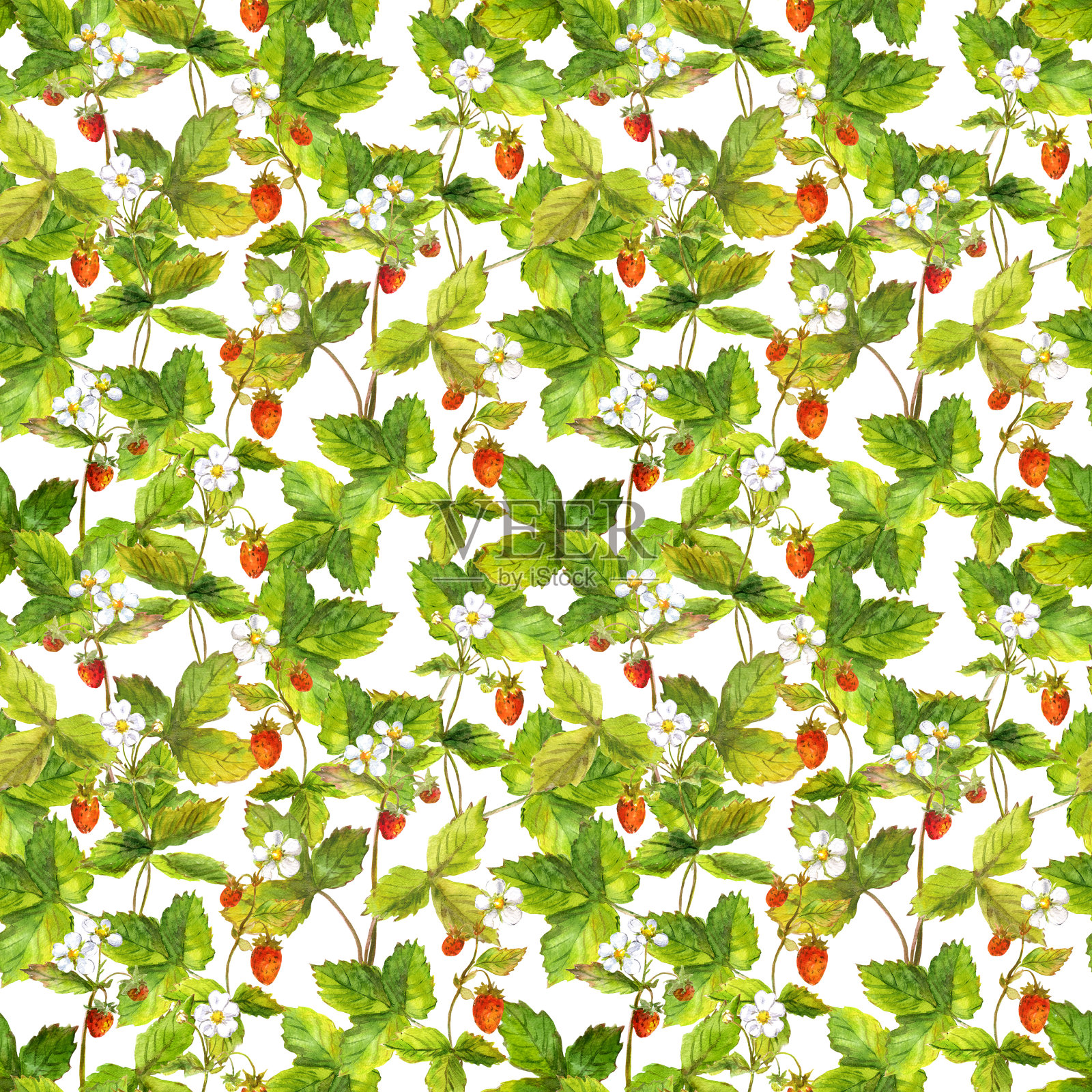 无缝水果图案与野生森林草莓。水彩植物的手插画图片素材