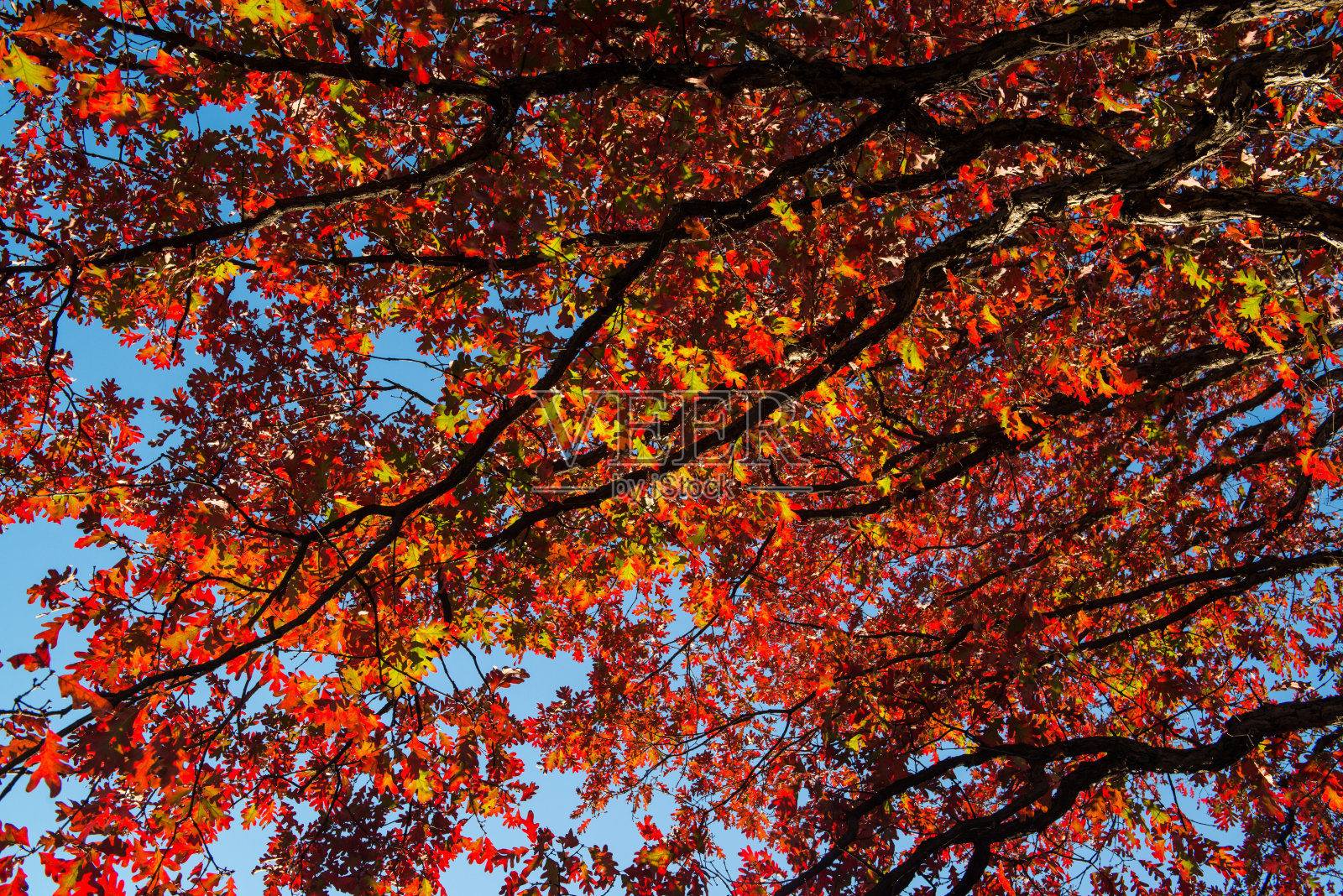 景观照片摄影图片