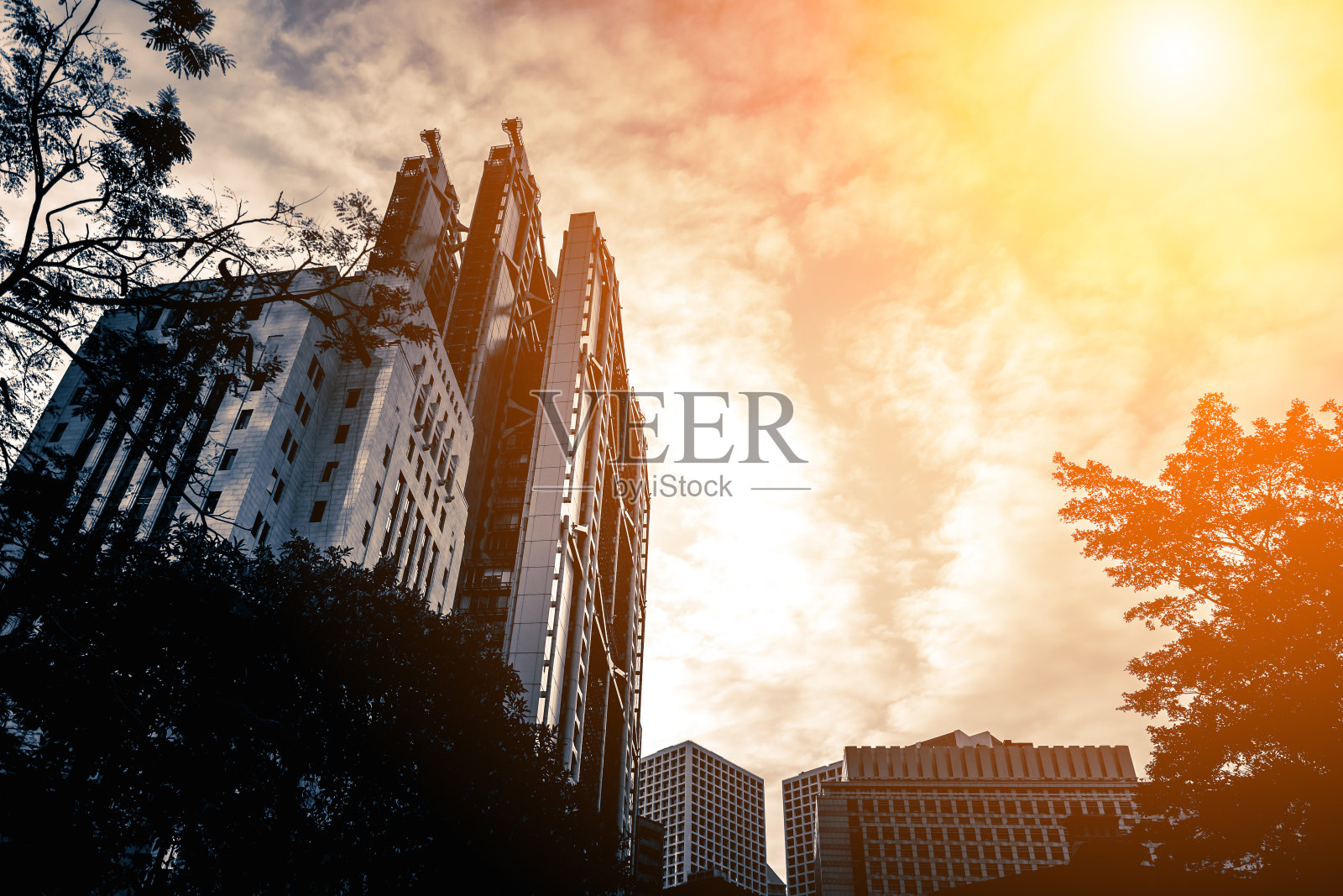 阳光下的现代办公大楼照片摄影图片