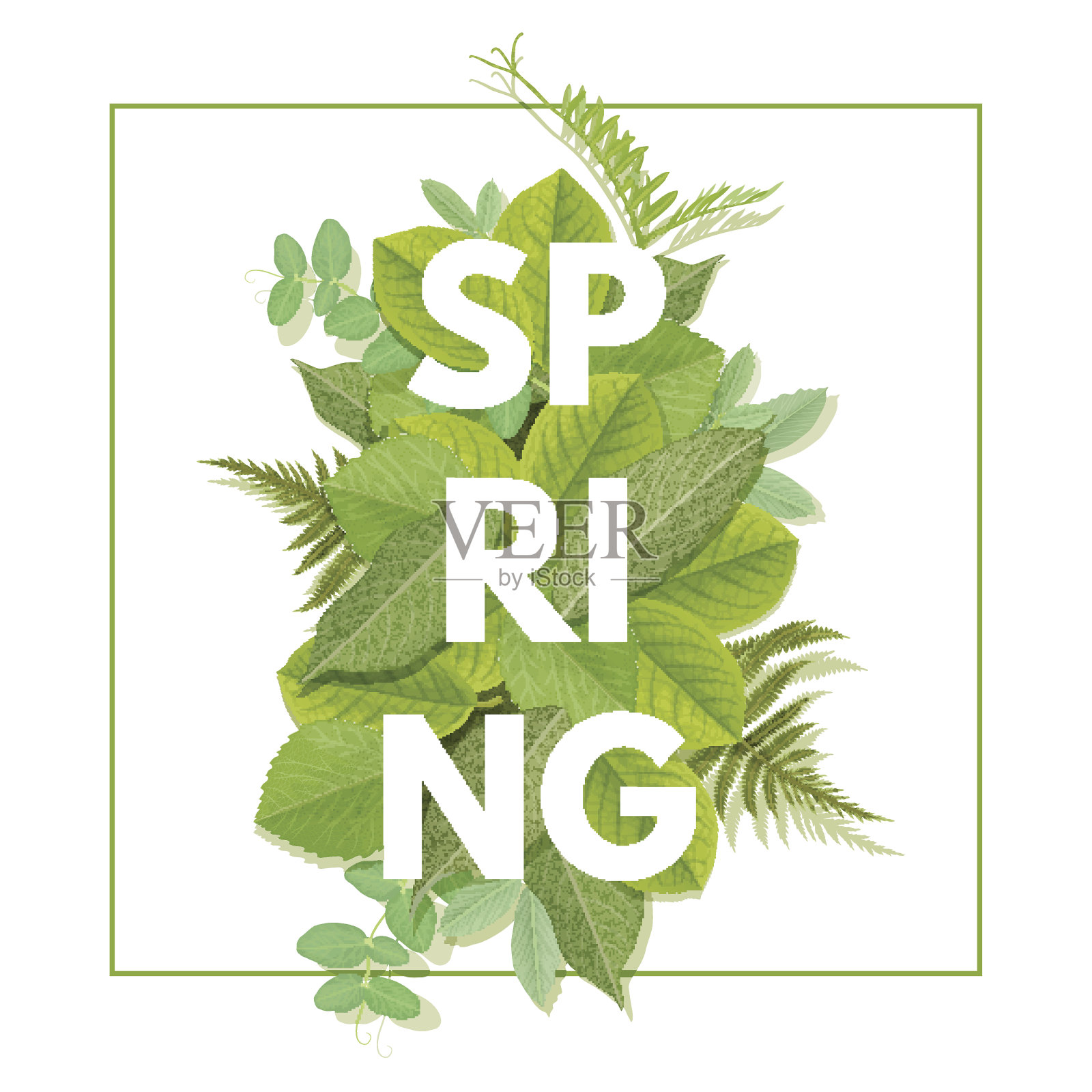 春天的落叶信插画图片素材