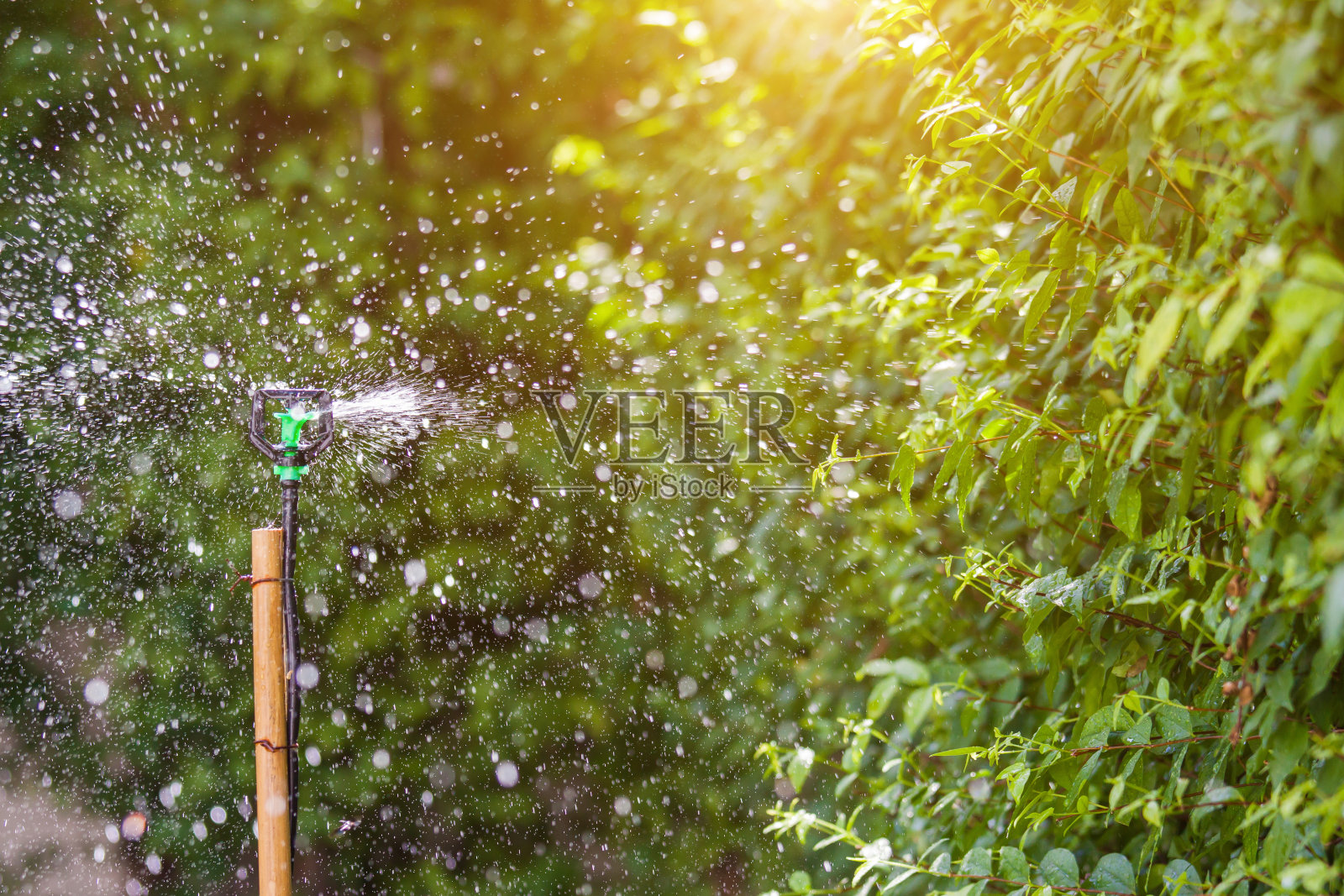 洒水喷头浇水照片摄影图片