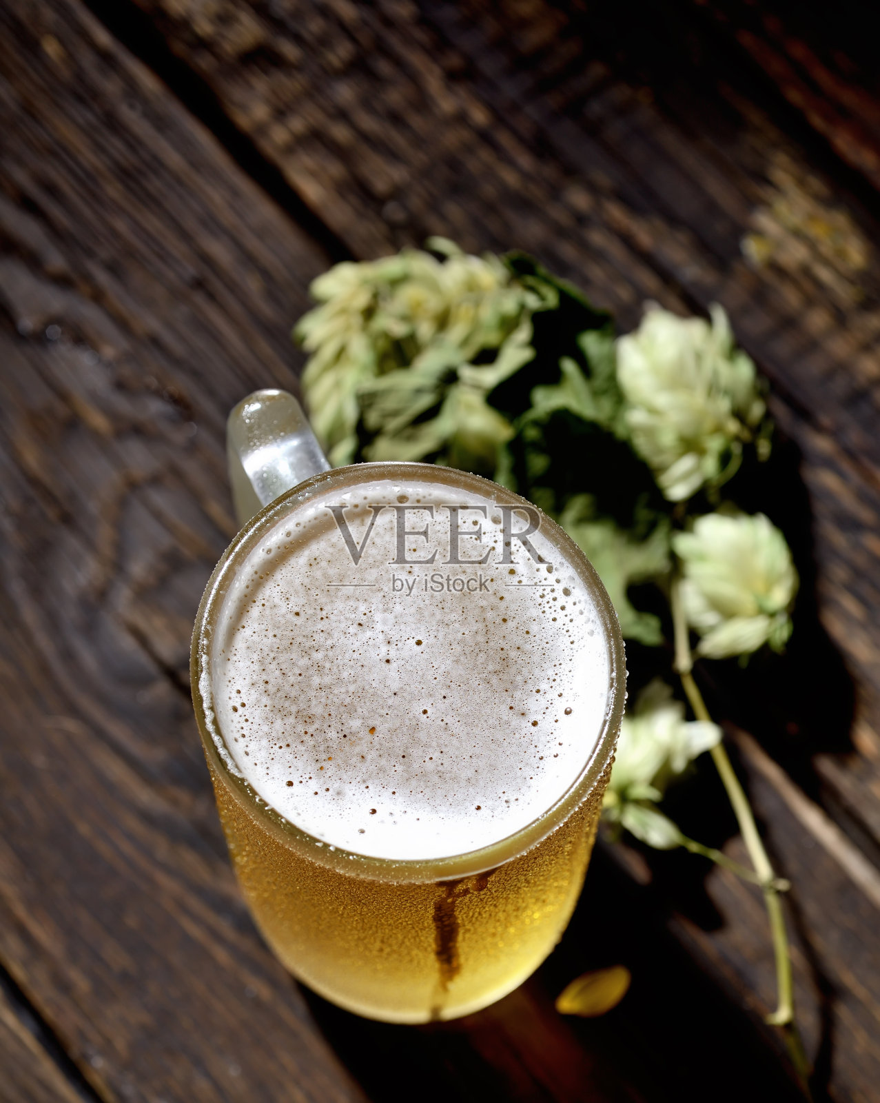 玻璃啤酒和啤酒花在一个木制的背景照片摄影图片