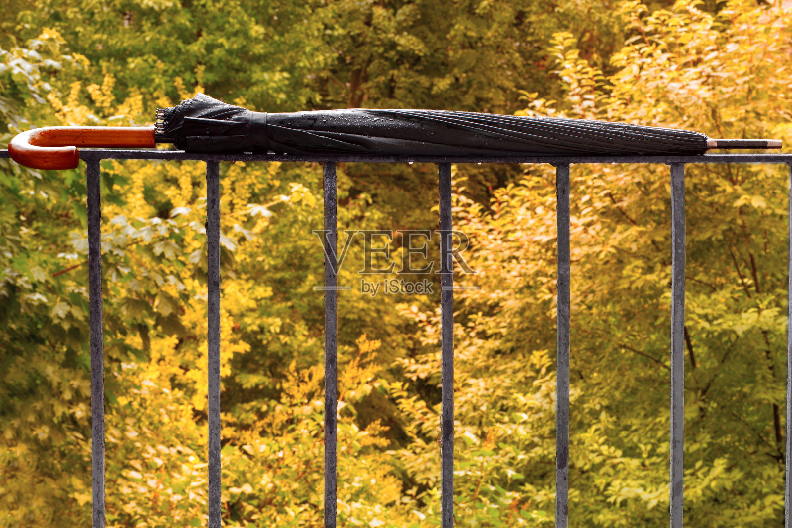 旧栏杆上的湿伞照片摄影图片