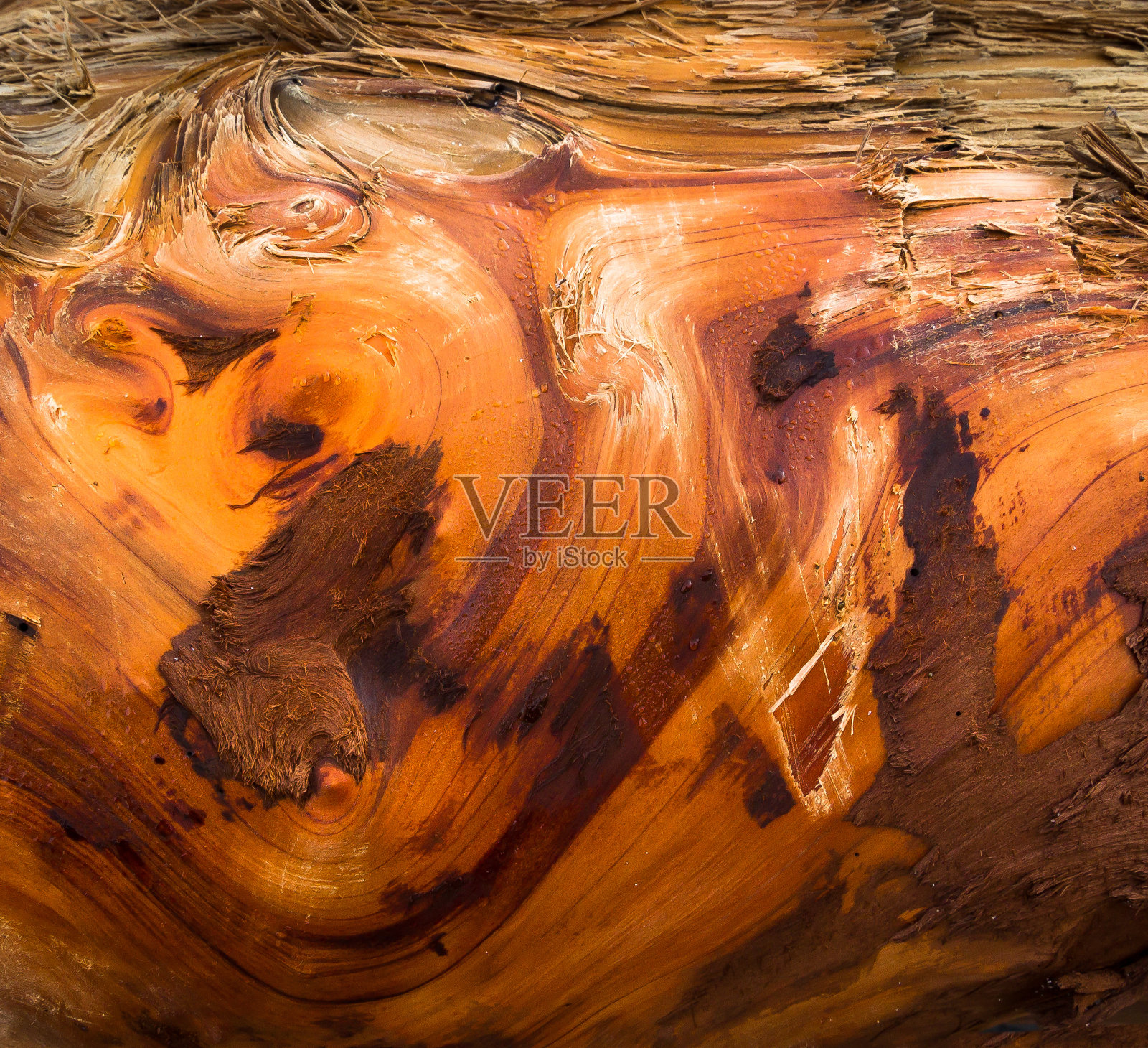 浮木照片摄影图片