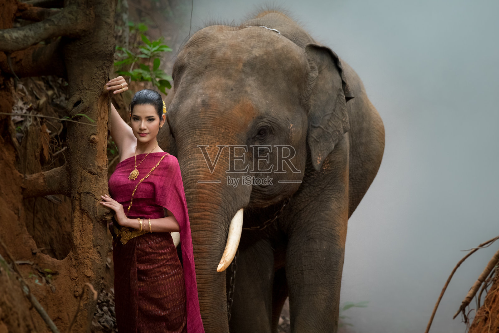 女人穿着泰国服装和她的大象照片摄影图片