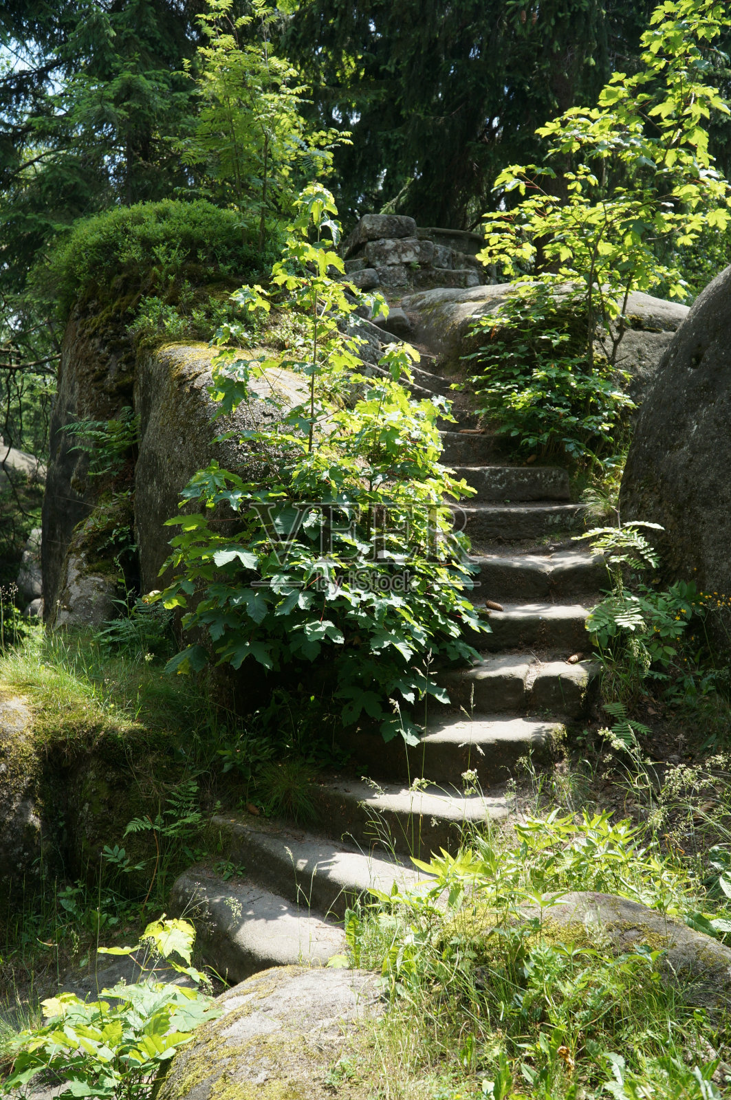 布卢莫夫斯克·斯泰尼照片摄影图片