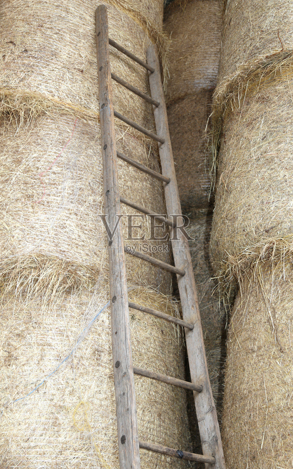 农场谷仓里的木梯照片摄影图片