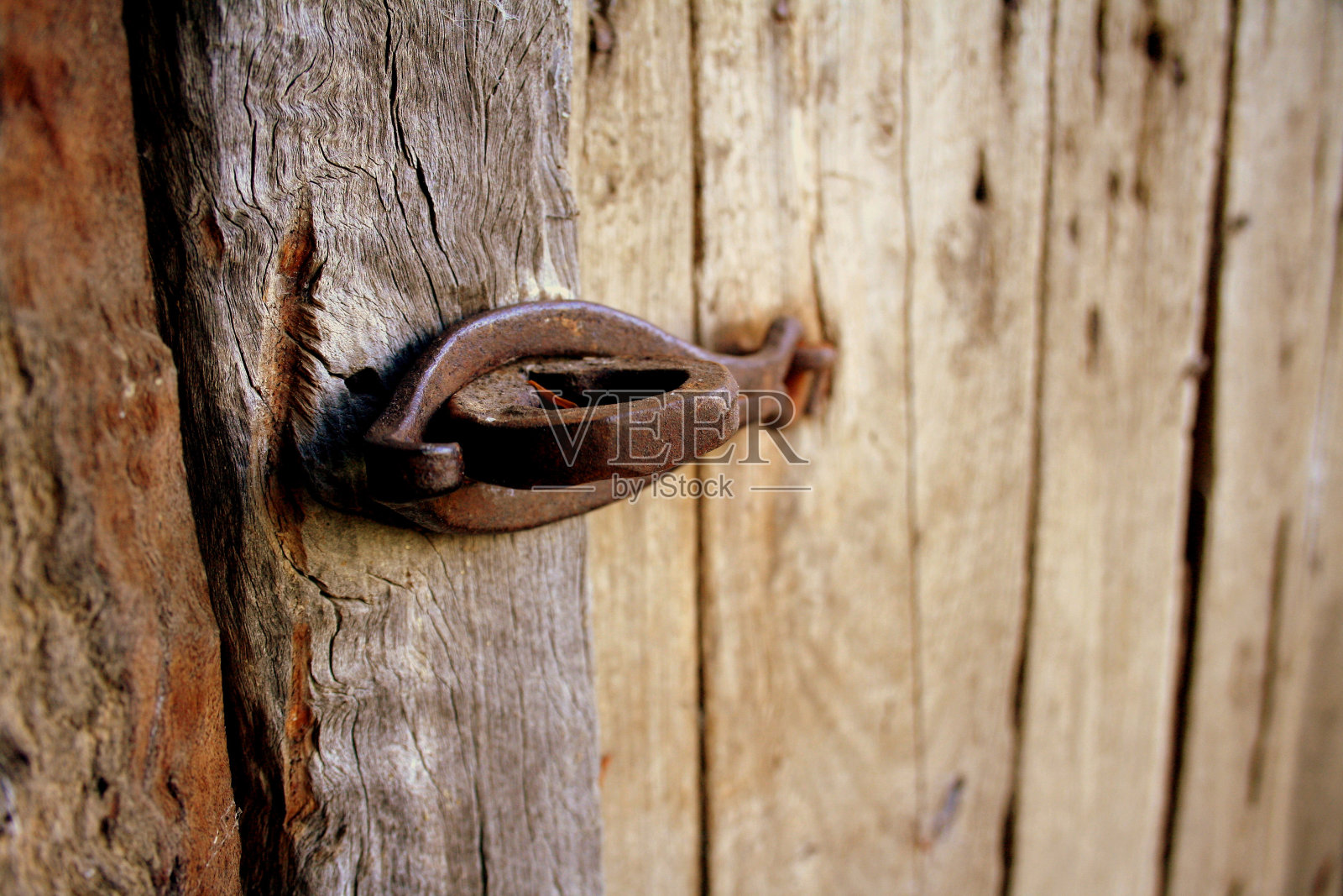 主食和搭扣照片摄影图片