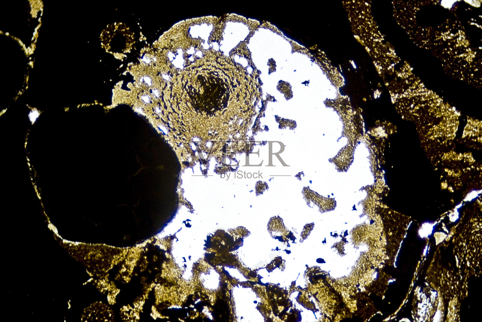 微观煤烟颗粒照片摄影图片