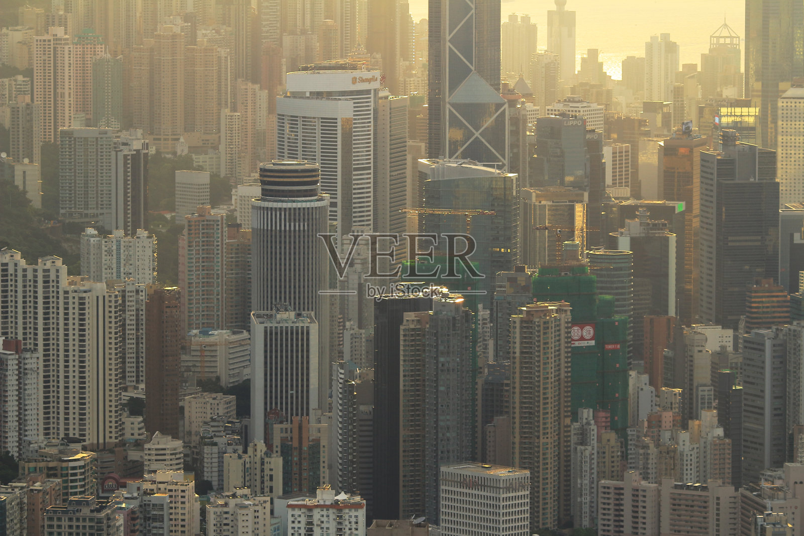 香港渣甸山的景色照片摄影图片