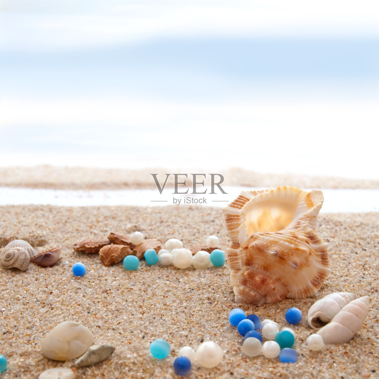 海滩上的贝壳照片摄影图片