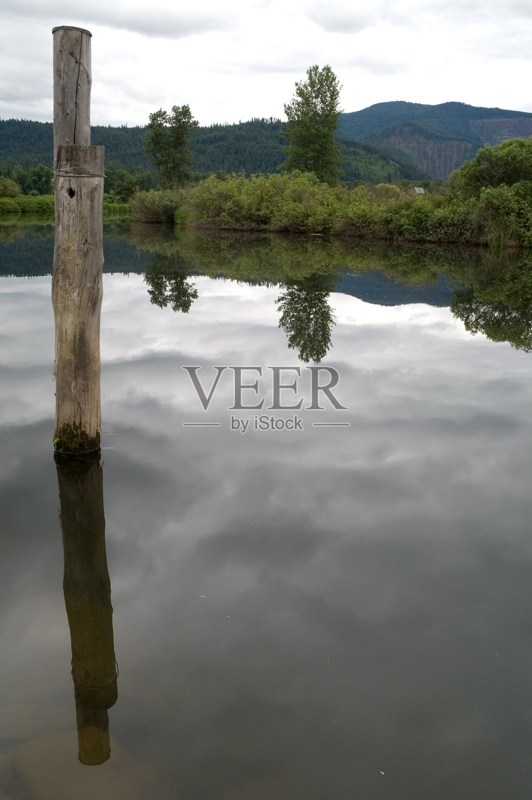 河反射照片摄影图片