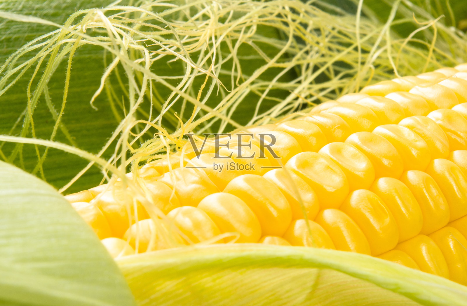 玉米棒照片摄影图片