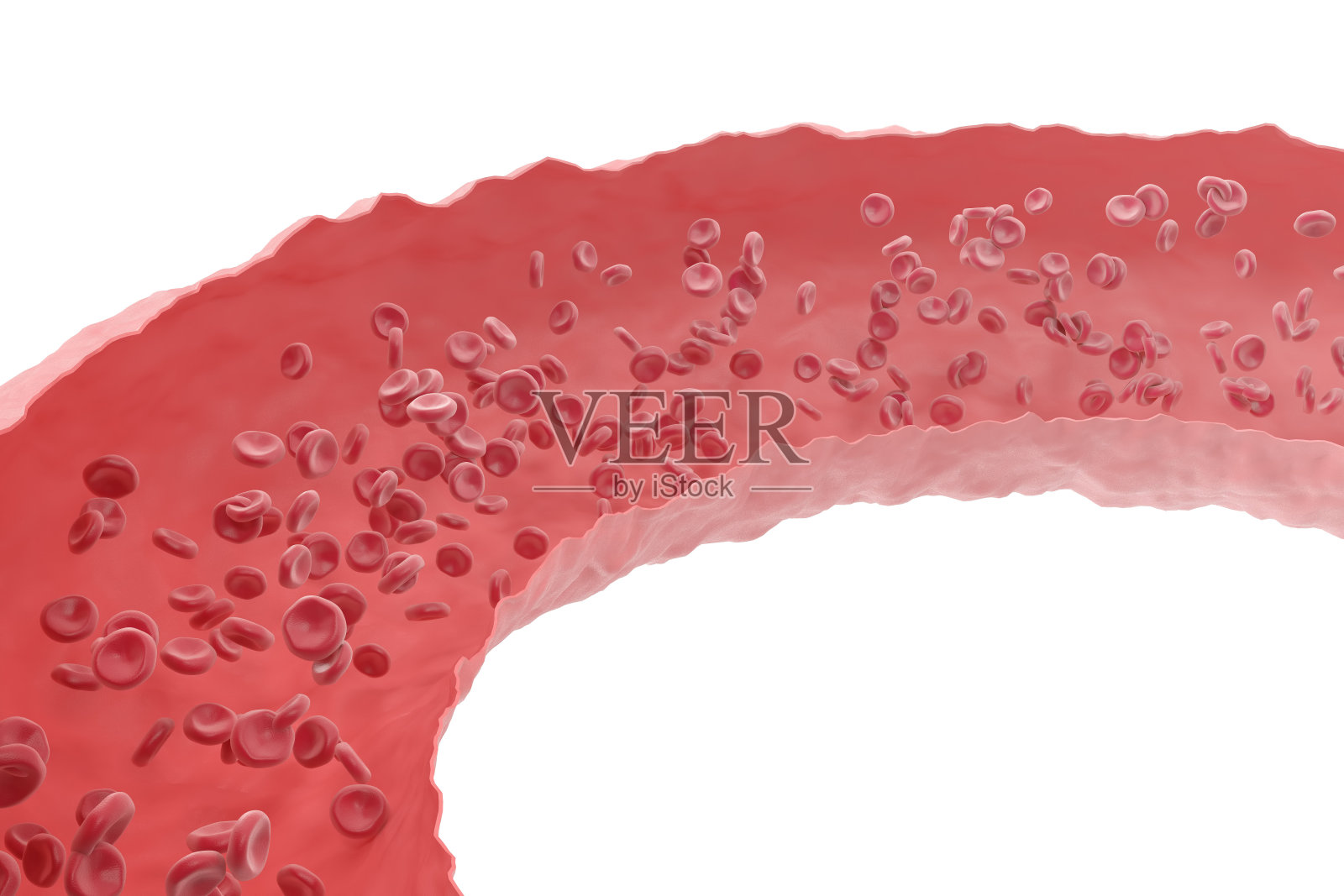 红细胞在切开后通过静脉流动照片摄影图片